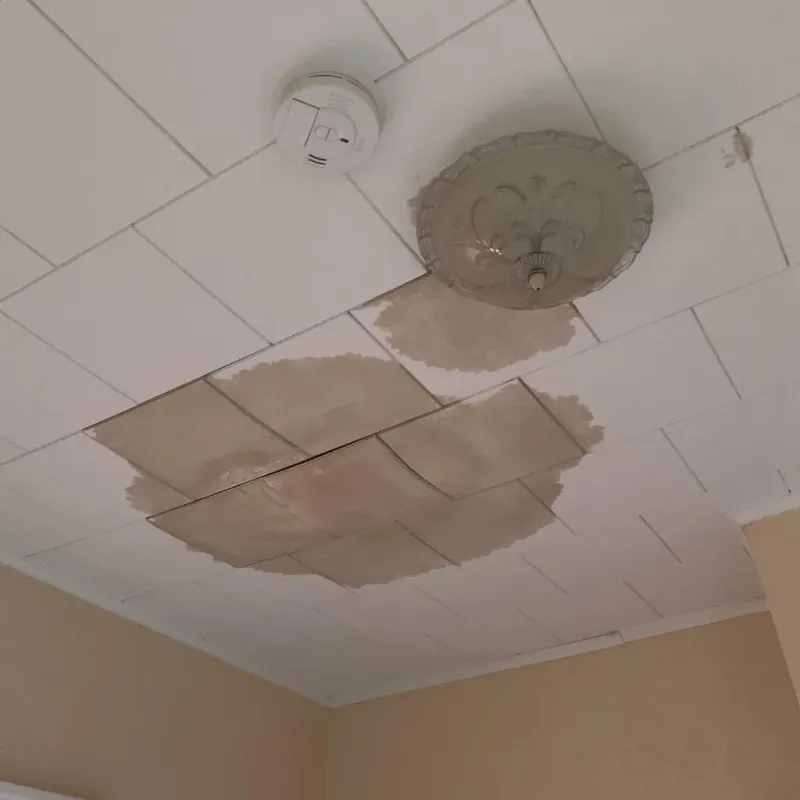 Ceiling Water Damage Repair in Slidell, LA